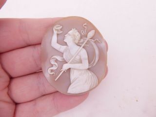 Victorian Large Carved Shell Cameo Of A Maiden,  Unframed
