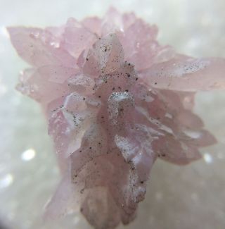 Rare Rose Quartz Crystals Rosette: Plumbago Mountain.  Newry,  Maine