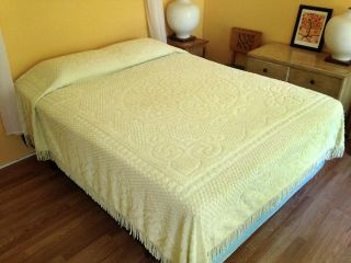 Vintage Pale Yellow Chenille Full Queen Fringe Cotton 100 " X 100 " Bedspread