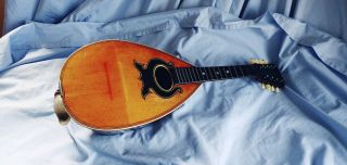 The C.  A.  Nightingale Vintage Bowl Back 8 - String Mandolin Evansville Ind. 4