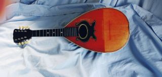 The C.  A.  Nightingale Vintage Bowl Back 8 - String Mandolin Evansville Ind. 6