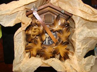 Nib Vintage German Black Forest Cuckoo Clock 6 - 1/4 " Tall Box