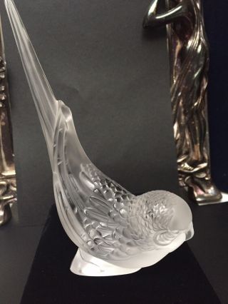 Rare Lalique France Parakeet Head Down Figurine Signed 6.  5 "