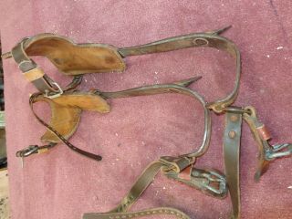 Vintage Pair Bell System Pole/tree Climbing Gaffs Spikes Made By Buckingham