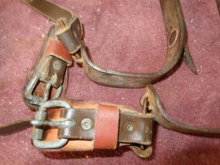 Vintage Pair Bell System Pole/Tree Climbing Gaffs Spikes Made By Buckingham 5