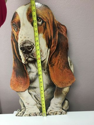 Vintage Hush Puppies Store Shoe Display Basset Hound Dog Sign approx 27 x 16 3