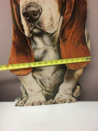 Vintage Hush Puppies Store Shoe Display Basset Hound Dog Sign approx 27 x 16 4