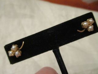 Vintage 14k Gold Culture Sea Pearls Earrings,  Prong Set,  3 Sm Pearls Ea Earring