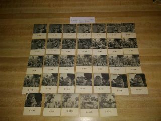 RARE 1964 Horrorscope Movie Viewer Cards Multiple Toymakers Universal Monsters 12