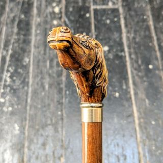 Vintage Carved Horse Head Handle Design Polished Wooden Cane Walking Stick 35 