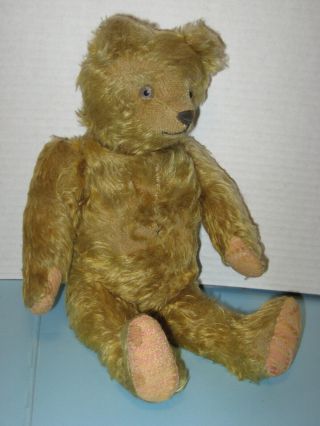 Vintage 15 " Mohair Teddy Bear With Helvetic Musical Bellow