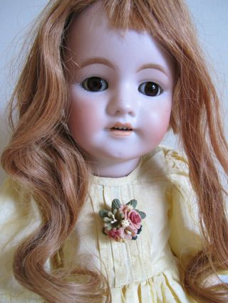 Perfect Bisque Head,  22 " Antique Simon Halbig,  German Doll,  Red Human Hair