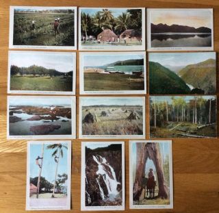 Vintage Postcards,  Australia,  Queensland,  Tourist Board,  12 Early Cards