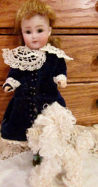 Antique German Mignonette Bisque Doll W/wired Poodle Toy On Orig Body,  Perfect
