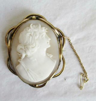 Ex Large 19thc Shell Cameo Brooch Pinchbeck Frame With Safety Chain