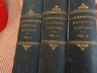 3 x antique vintage books harmsworth natural history colour plates.  childrens 2