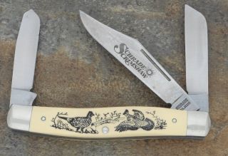 Schrade Usa Vintage 1992 Scrimshaw Quail Stockman Knife Sc505