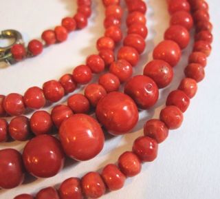 Vintage Natural Salmon Red Coral Graduated Bead Flapper Length Necklace 42” 30G 6