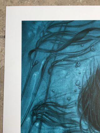 The Shape of Water Movie Poster James Jean Art Print Guillermo Del Toro Rare 4