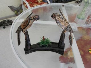 Vintage Hand Carved Water Buffalo Horn Parrots,  On - Of - A - Kind,  Made In Thailand