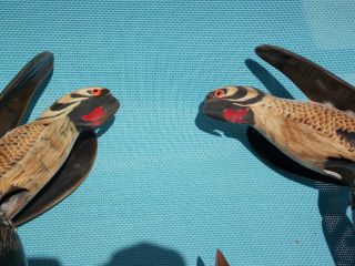 Vintage Hand Carved Water Buffalo Horn Parrots,  On - of - a - Kind,  Made in Thailand 6