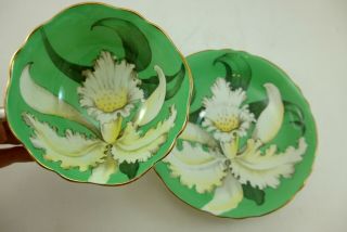 Rare Green Paragon Orchid Tea Cup Ans Saucer