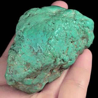 551.  8ct 100 Natural American Turquoise Crystal Shape Rough Specimen Myzj275