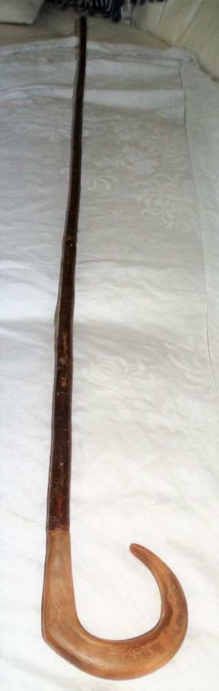 Vintage Rams Horn Shepherds Crook Walking Stick,  48.  4in Long,  Collectible.