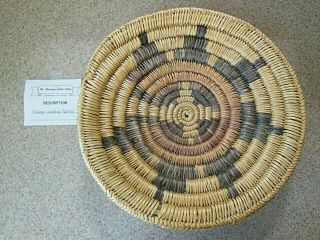 Vintage Native American Navajo Indian Wedding Ceremonial Basket 12 1/4 Inches