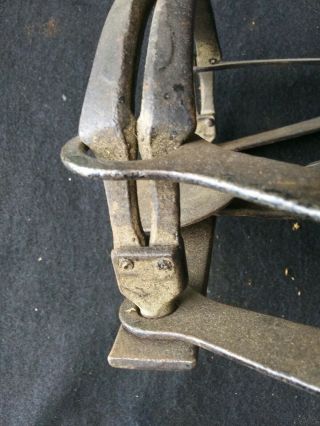Vintage Traps Newhouse No.  4 Offset Jaws 8