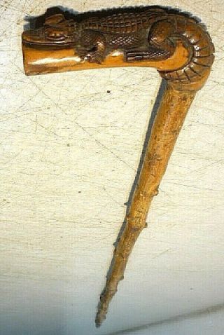 Antique Hand Carved Crocodile Walking Stick Cane W/ Brass Ferrule Spiky Shaft