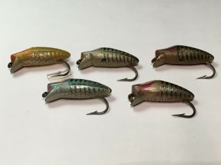 5 vintage,  antique Heddon Runtie Spook fly baits, 2