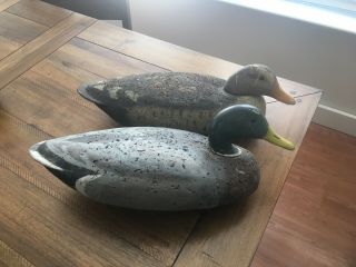 Ll Bean,  Magnum Mallard Drake & Hen Duck Hunting Decoy Decoys Old