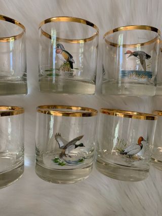 Ned Smith Waterfowl Glasses Low Ball Old Fashioned Rocks Glass Set 8 Vintage 3
