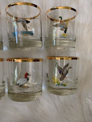 Ned Smith Waterfowl Glasses Low Ball Old Fashioned Rocks Glass Set 8 Vintage 4
