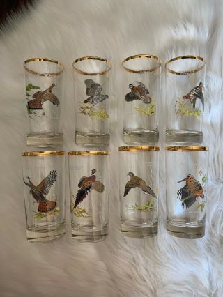 Ned Smith Waterfowl Glasses Game Birds High Ball Collins Glass Set 8 Vintage