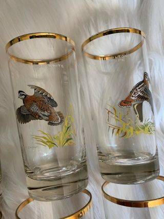 Ned Smith Waterfowl Glasses Game Birds High Ball Collins Glass Set 8 Vintage 3