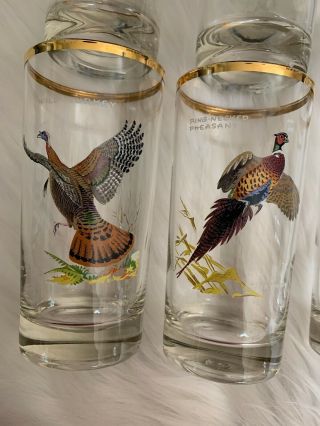 Ned Smith Waterfowl Glasses Game Birds High Ball Collins Glass Set 8 Vintage 4