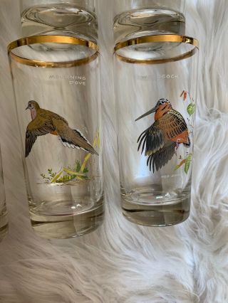 Ned Smith Waterfowl Glasses Game Birds High Ball Collins Glass Set 8 Vintage 5