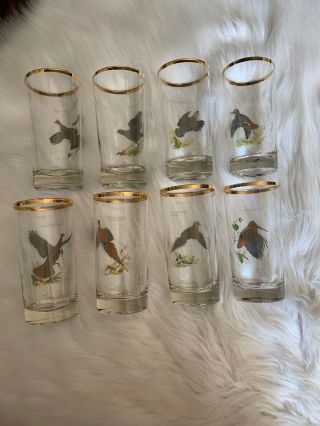 Ned Smith Waterfowl Glasses Game Birds High Ball Collins Glass Set 8 Vintage 8