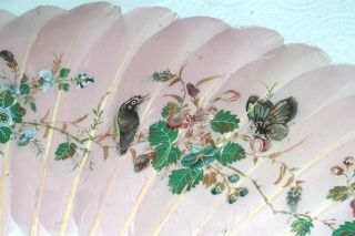 Antique Victorian Painted Feather Bovine Bone Fan Floral Bird Butterfly 4