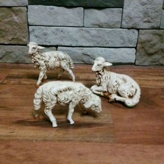 Vtg Fontanini Nativity Set Of 3 Sheep - Paper Mache From 12 " Figure Set - Italy
