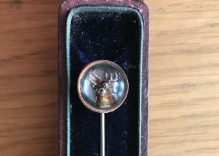 Rare Antique Victorian Gold Stag / Deer Tie Pin Stick Pin Cased