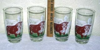 4 Vintage Rare Unique Bull/cow Hereford Farmer Acl Label Drinking Water Glasses