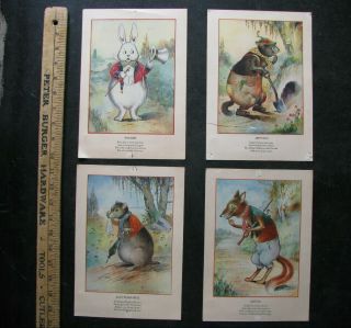 1914 Thornton Burgess Peter Rabbit 4 Print Set Harrison Cady Quaddies - Very Rare