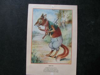 1914 THORNTON BURGESS PETER RABBIT 4 Print Set HARRISON CADY QUADDIES - VERY RARE 8