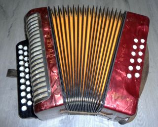 Very Rare 12 Bass Made In Germany Hohner Erica C/f Diatonic Button Accordion