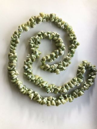 Vintage Aboriginal Tasmanian Green Iridescent Maireener Snail Shell 30 " Necklace