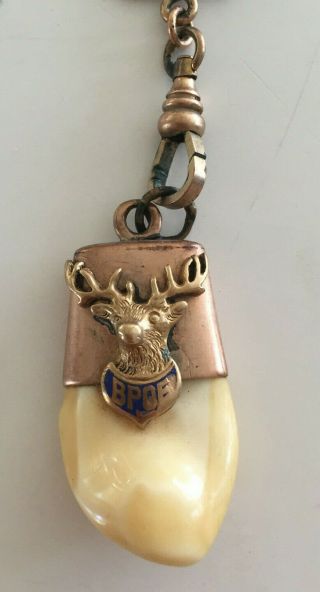 Vintage Elk 