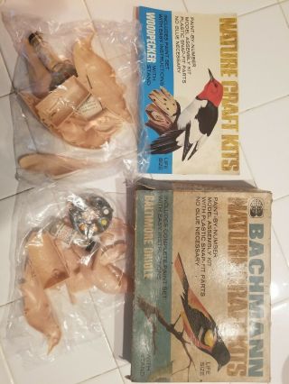 Vintage Bachmann Nature Craft Woodpecker Bird Model & Baltimore Oriole Model Kit